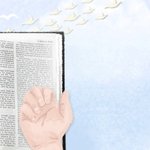 [제대로<b>알자</b>] 눈이 없는 이들에게