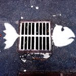 센스 있는 길거리 낙서와 <b>장난들</b>