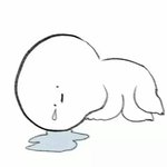 5월 수학여행 코디ㅠ