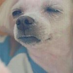다들 <b>시험공부</b> 어떻게함?