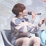 [세븐틴] <b>폭죽</b>때문에 놀란 뿌