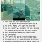 [EXO] 시밬ㅋㅋㅋㅋㅋ내가 아는 동생년ㅋㅋㅋㅋㅋ