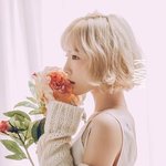 [EXO] 범죄자 <b>퇴출</b>안시키고 재계약하는 약국