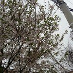 [댓글부탁해] <b>사진</b>주면 <b>보정</b>해줄게!