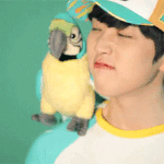 [<b>B1A4</b>] 요즘 많이 듣는 비포 노래있어?