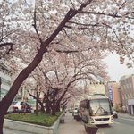 [EXO] ㅅㄷ 보정 어떰?