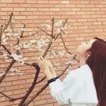 [댓글부탁해] 정은지 <b>이사진</b> 분위기있어보인다
