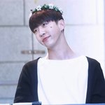 [BAP] 횐님들.. 태<b>송</b>글로 아픈 눈 정화하고 가세유...^^