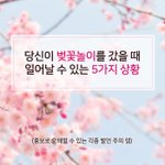 당신이 벚꽃<b>놀이</b>를 갔을 때 일어날 수 있는 5가지 상황