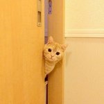 <b>난쟁이</b> 보고싶당