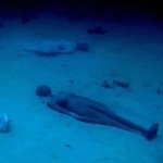 [EXO] ㄷㅇ고가 남고였다면 ㄹㅇ 이걸로 놀려주는뎈