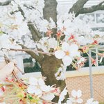 아이폰 아날로그 뭐냐 그 <b>필터</b> 뺨치는 어플