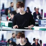 [인피니트] 진짜 <b>대형</b>견 아니냐