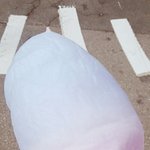 [세븐틴] 일코용(?)<b>솜사탕</b>