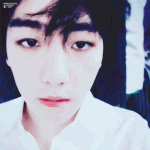 [EXO] 이상하게 서양은 안끌림