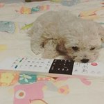 [<b>B1A4</b>] 율무ㅠㅠㅠㅠㅠㅠㅠ