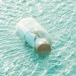 [세븐틴] 지금내상황