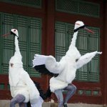 [드루와] +)우리반에 ㄹㅇ 사기캐있음