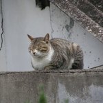 <b>난쟁이</b> 설마 자고잇냐