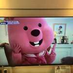 [개깊은빡침] ㅇㅈ55TV 호갱.. 네이트삭제 두번 헐..