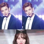 [댓글부탁해] 취향 한결같은 플레디스