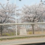 [댓글부탁해] 오늘 울 엄마 <b>생신</b>이신데 속상하다