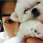 [EXO] 오세훈인스타로 보는 <b>비비</b> 성장일기