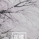 [방탄소년단] 방탄을 보며