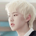[세븐틴] 굿모닝