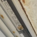 [꼭조언부탁] <b>전세</b>집 물난리 조언구합니다