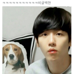 [백현] 백현이랑 <b>비글</b>
