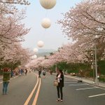 따뜻한 봄날 <b>인생샷</b> 장소 소개해드립니다~^-^