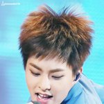 [시우민] 공연중에 <b>새집</b> 만든 시우민 ㅋㅋ
