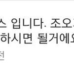 [세븐틴] <b>플디</b>가 답한거 보고있는데
