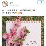 [방탄소년단] 이삐들! 벚꽃 <b>지민이</b> 그림 그리신분