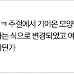 한국남자분들을 ㅂㄷㅂㄷ하게 했던 글의 진실