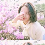 [<b>채영</b>] 봄소녀