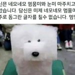 [<b>우지</b>] 멈뭄미밉니다
