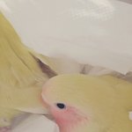 10대는 <b>뷰러</b>는 해두되지?