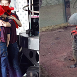 [시우민] 미어캣<b>슈와</b> 형제들(시우민)