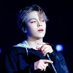 [세븐틴] 캐럿들 다들 입덕 언제야..? (ㅅㄷ)