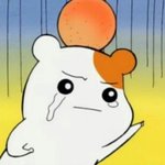 [드루와] 선여정<b>지환</b>커플 있잖아