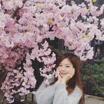 [드루와] 벚꽃 안꺾고 인증샷찍은 여<b>돌</b> ㅋㅋ