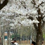 나 고등학교 <b>체질</b>인듯...