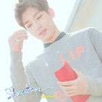 [세븐틴] 저목걸이