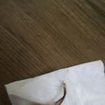 와 미친 <b>침대</b>에 벌레있는 줄