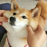 영어공부도하몈서 폰도할<b>수이</b>ㅛ는짱좋은앱