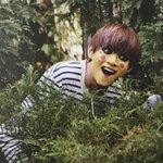 [방탄소년단] 이것도 복선인가