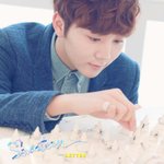 [세븐틴] 근데 세븐틴 공굿