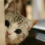 아 보고싶다 <b>민아</b>